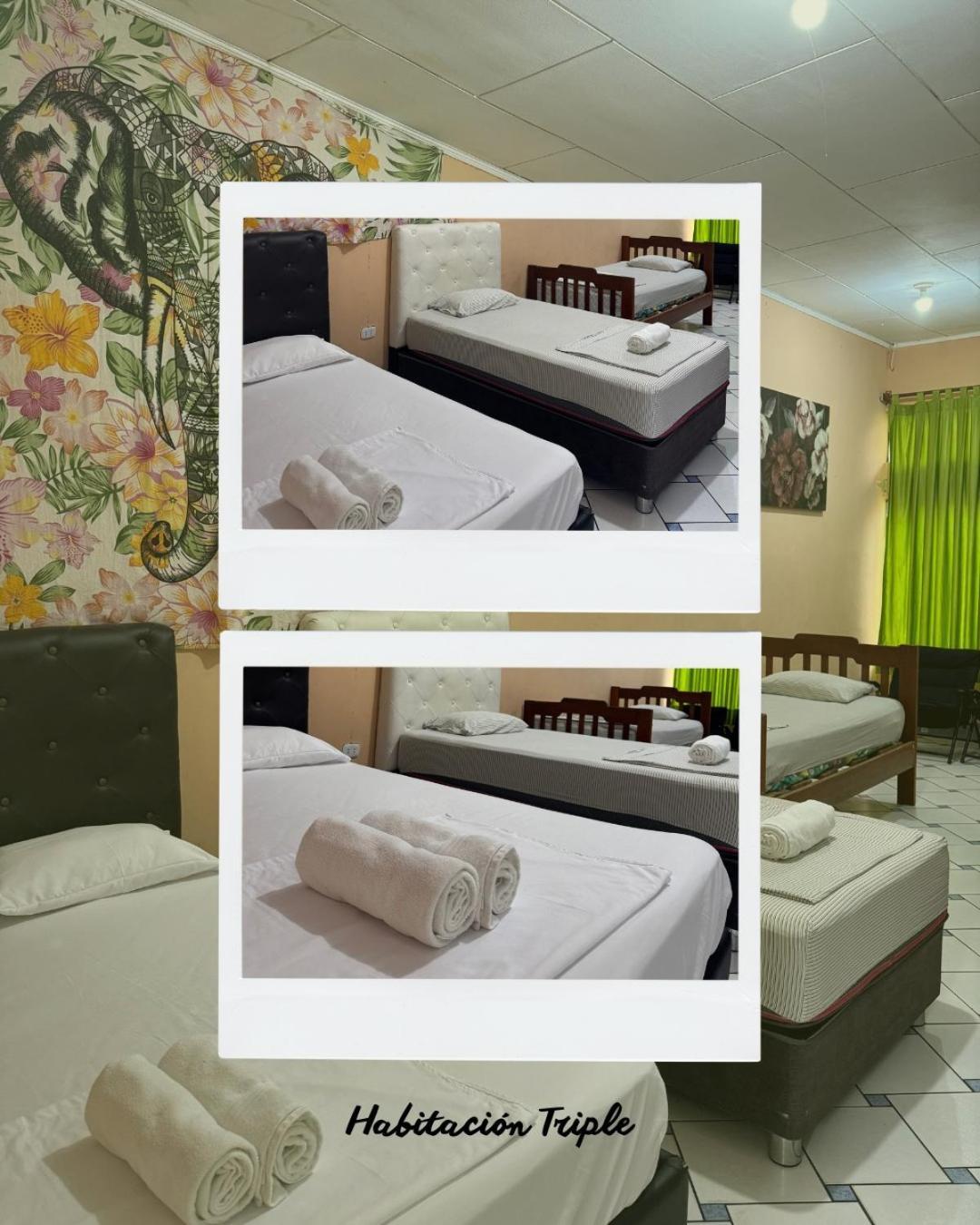 شقة Iguana Haus إكيتوس المظهر الخارجي الصورة